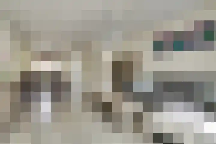 Rijnenburg 15 Gouda thumbnail 7