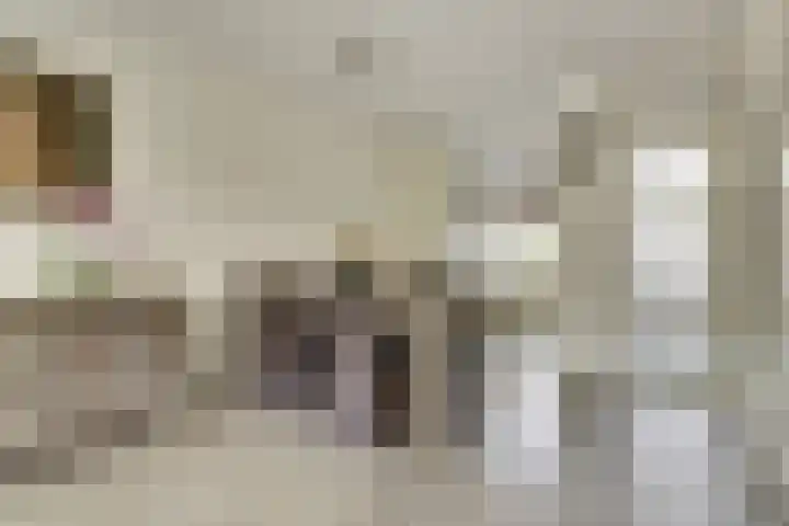 Rijnenburg 15 Gouda thumbnail 8