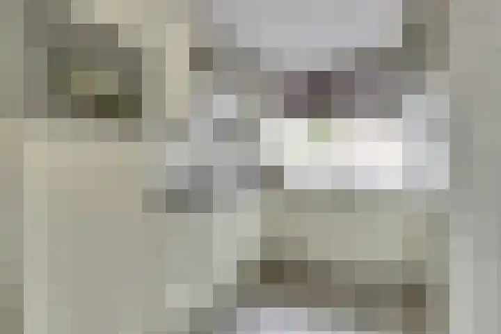 Rijnenburg 15 Gouda thumbnail 9