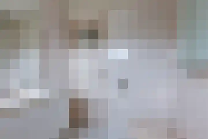 Rijnenburg 3 Leiderdorp thumbnail 24