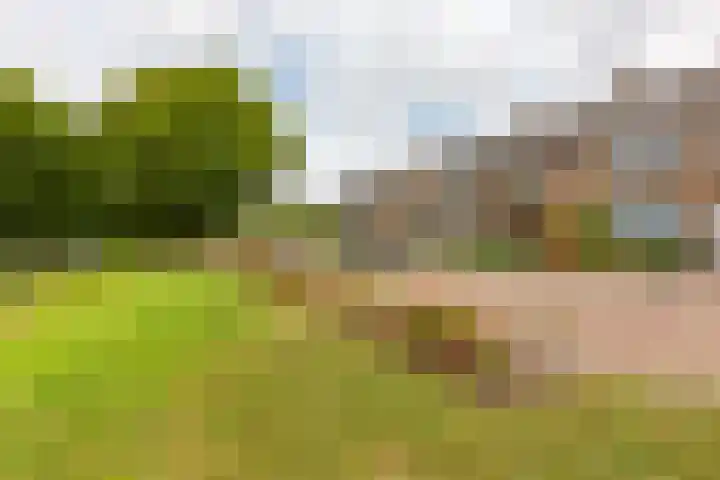 Rijnenburg 3 Leiderdorp thumbnail 34