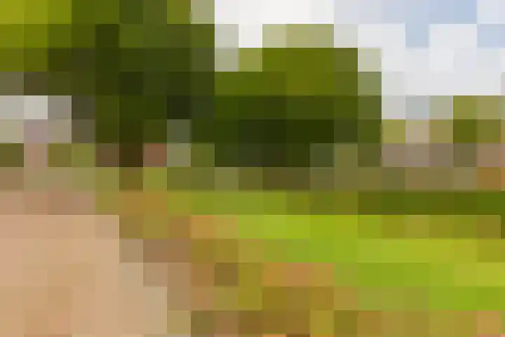 Rijnenburg 3 Leiderdorp thumbnail 36