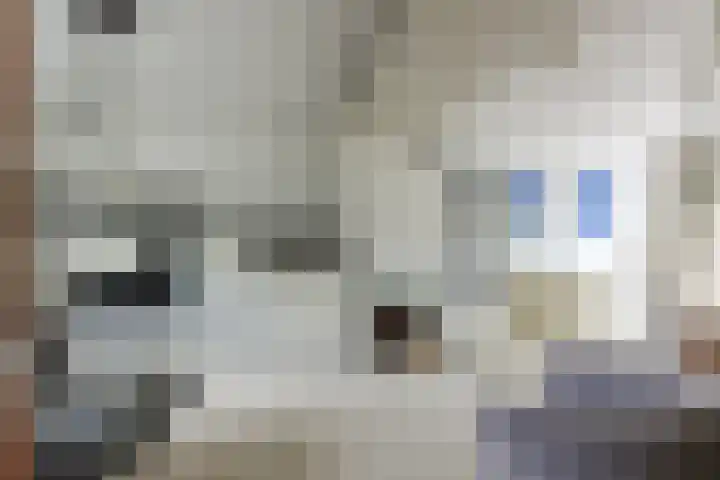 Rijnenburg 3 Leiderdorp thumbnail 4