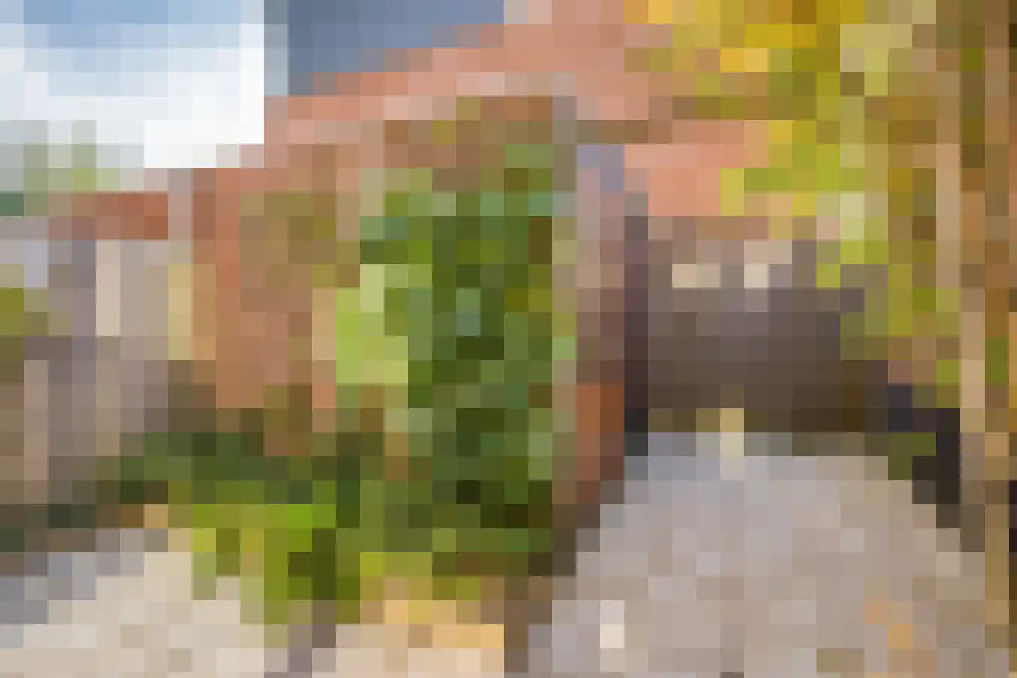Rijnenburglaan 14 Utrecht thumbnail 15