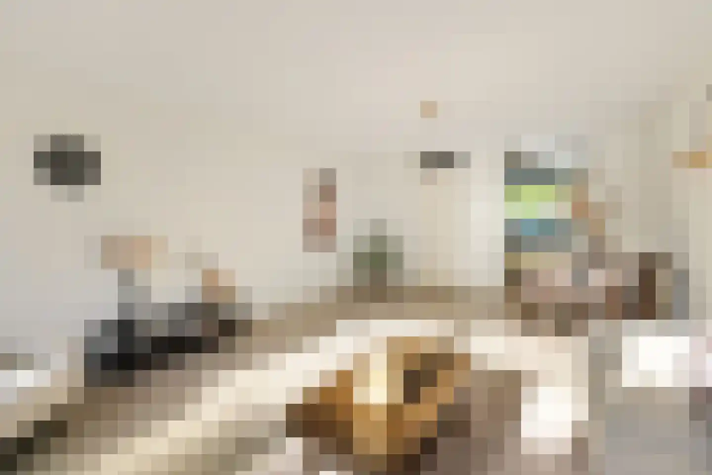 Rijnenburglaan 14 Utrecht thumbnail 17
