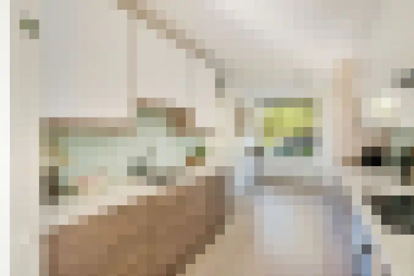 Rijnenburglaan 14 Utrecht thumbnail 19
