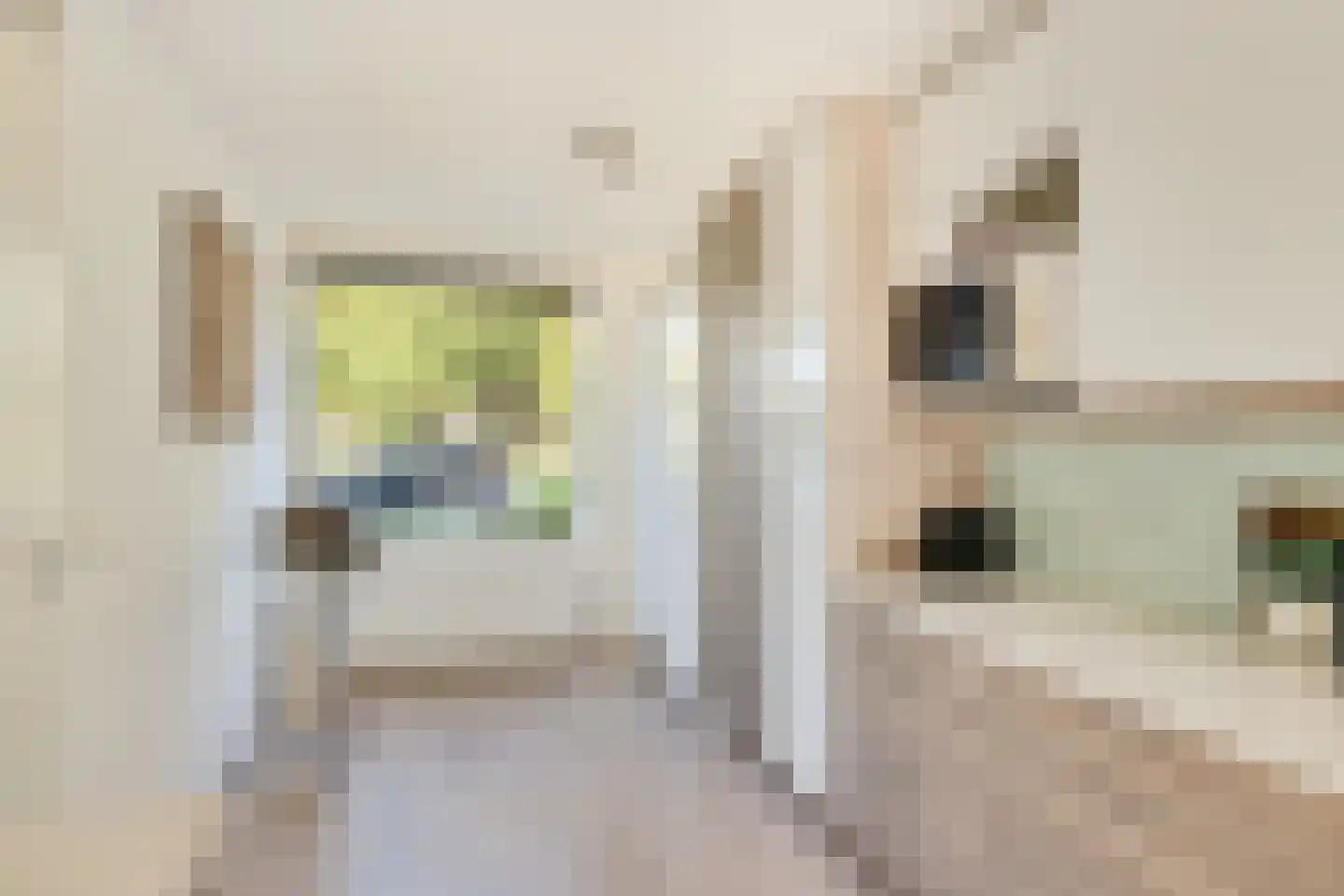 Rijnenburglaan 14 Utrecht thumbnail 20