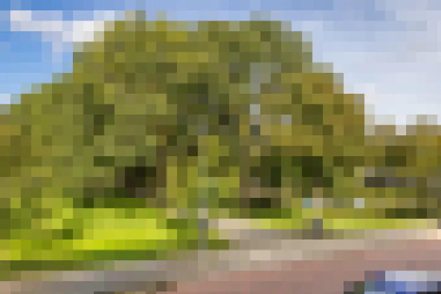 Rijnenburglaan 14 Utrecht thumbnail 24