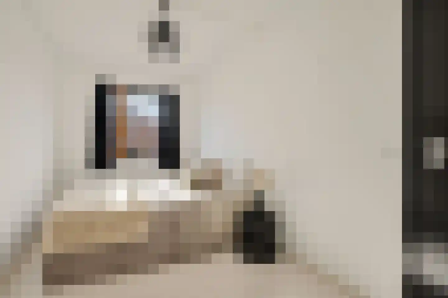 Rijnenburglaan 14 Utrecht thumbnail 30