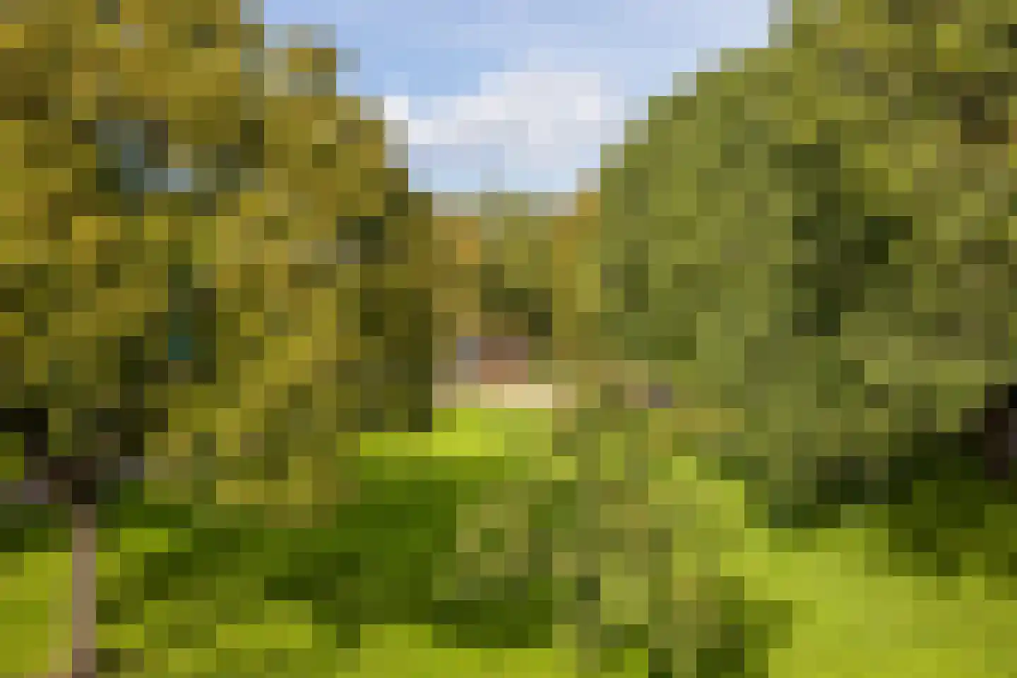 Rijnenburglaan 14 Utrecht thumbnail 34