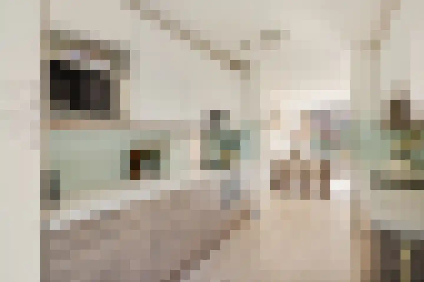 Rijnenburglaan 14 Utrecht thumbnail 5