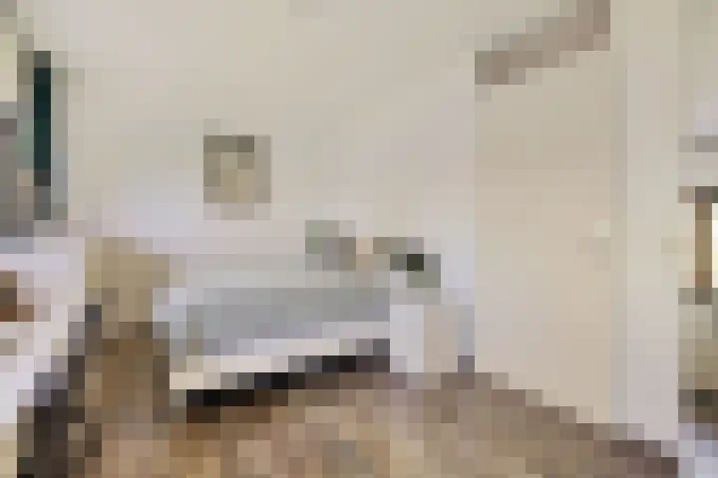 Rijnenburglaan 14 Utrecht thumbnail 7