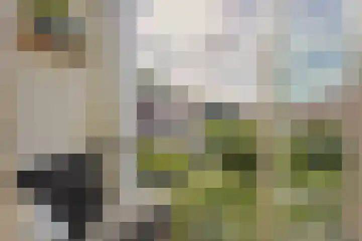 Rijnestein 1 Zwijndrecht thumbnail 16