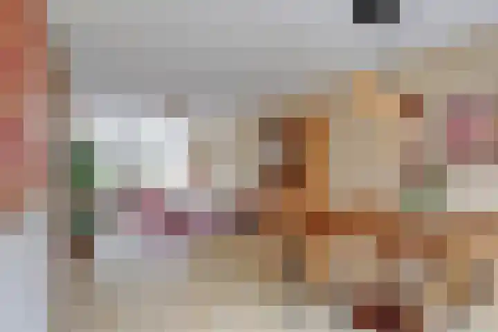 Rijnestein 1 Zwijndrecht thumbnail 16