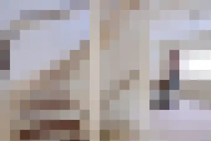 Rijnestein 1 Zwijndrecht thumbnail 25