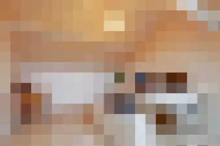 Rijnestein 1 Zwijndrecht thumbnail 30