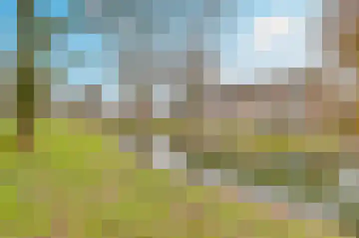 Rijnestein 1 Zwijndrecht thumbnail 40