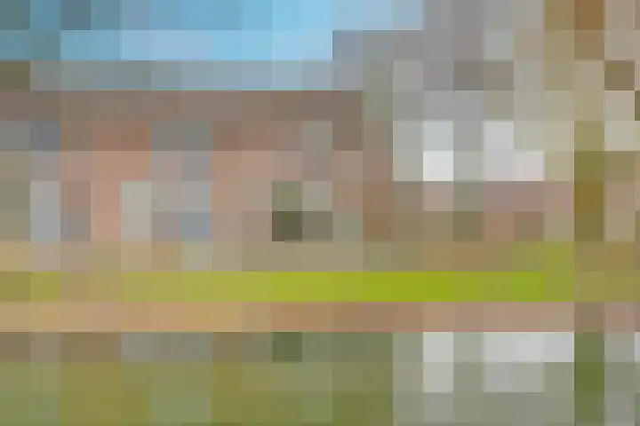 Rijnestein 1 Zwijndrecht thumbnail 43
