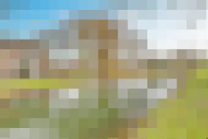 Rijnestein 1 Zwijndrecht thumbnail 44