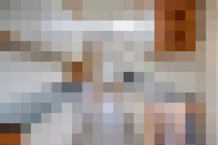 Rijneveld 18 Boskoop thumbnail 10