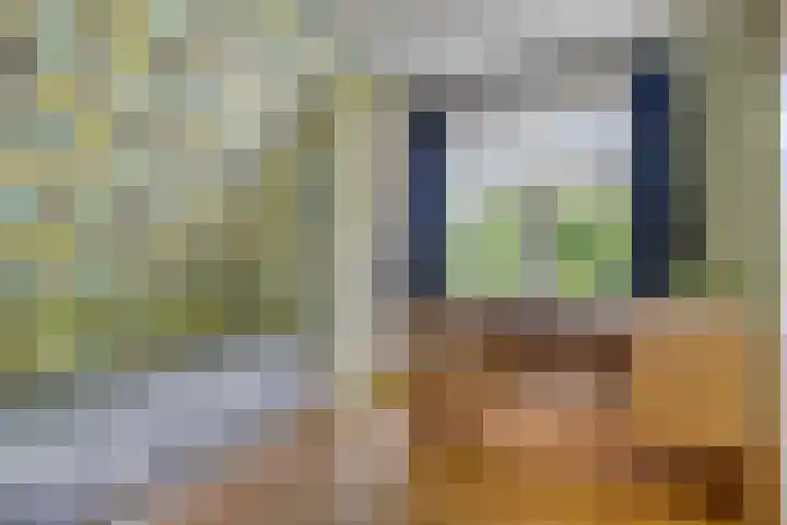 Rijneveld 18 Boskoop thumbnail 16