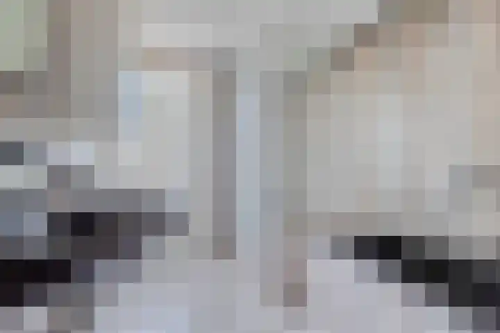 Rijneveld 18 Boskoop thumbnail 17