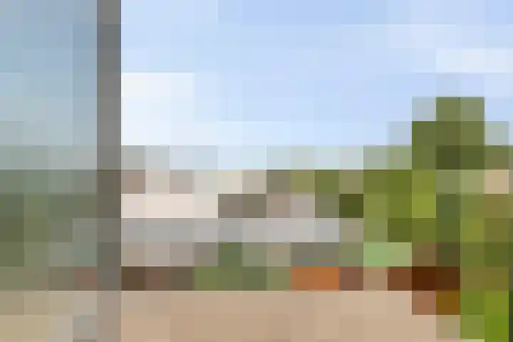 Rijneveld 18 Boskoop thumbnail 23