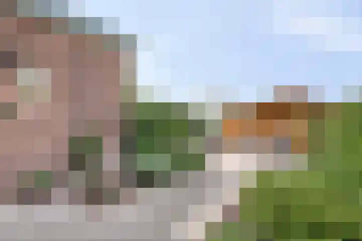 Rijneveld 18 Boskoop thumbnail 26