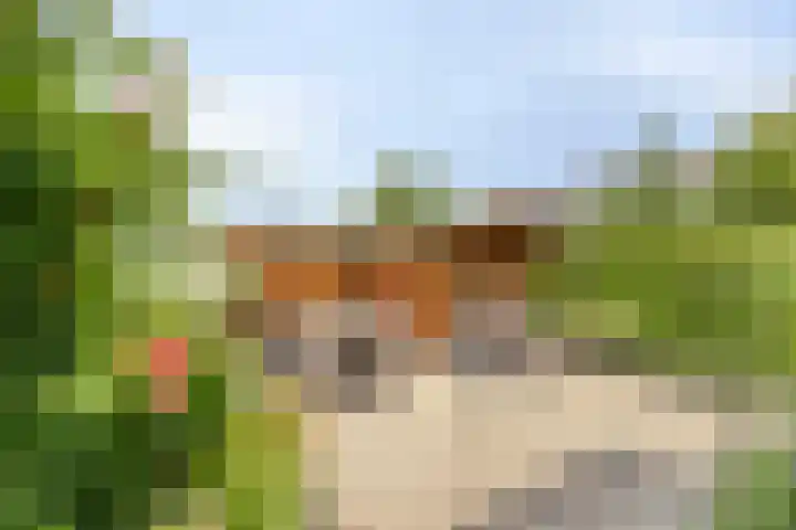 Rijneveld 18 Boskoop thumbnail 27