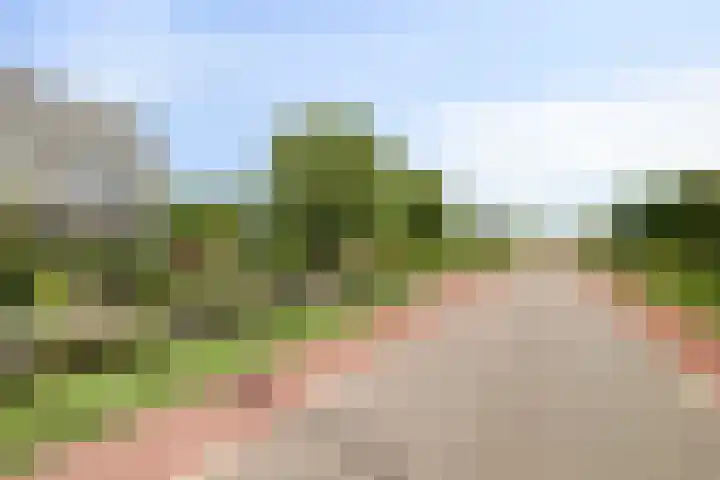 Rijneveld 18 Boskoop thumbnail 29
