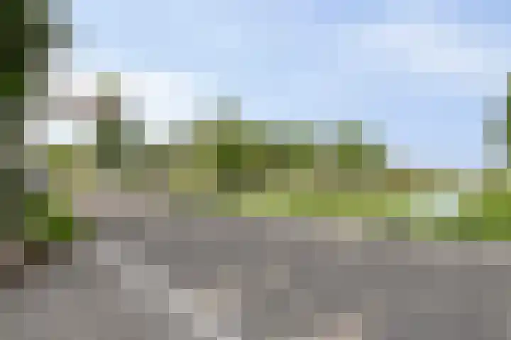 Rijneveld 18 Boskoop thumbnail 30