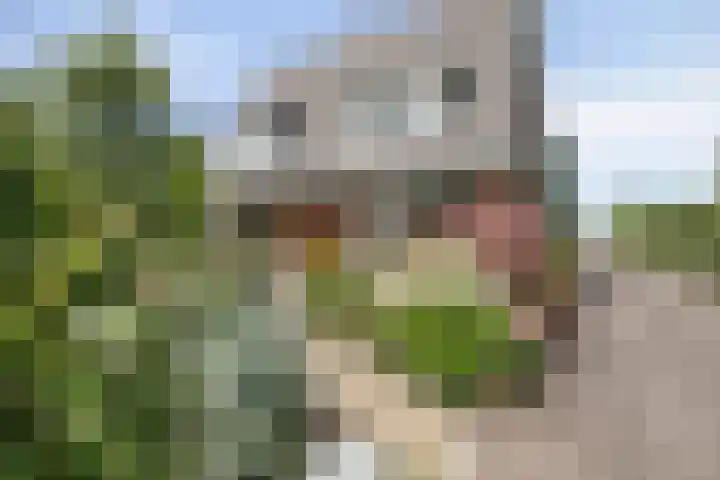 Rijneveld 18 Boskoop thumbnail 32