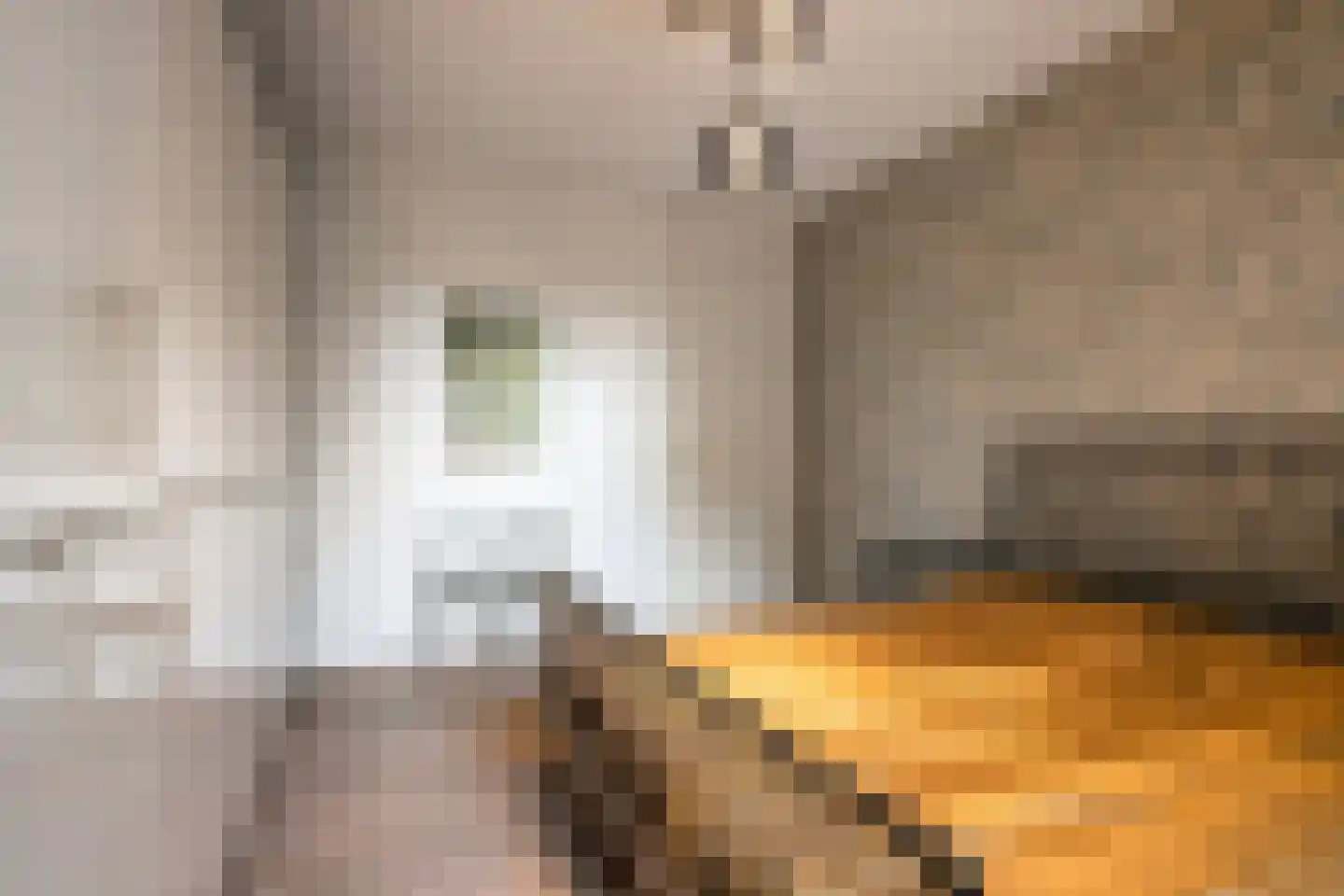 Rijngraafstraat 36 Breda thumbnail 18