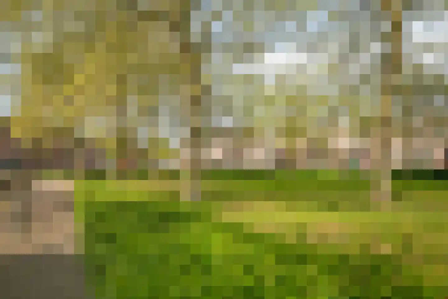 Rijngraafstraat 36 Breda thumbnail 34