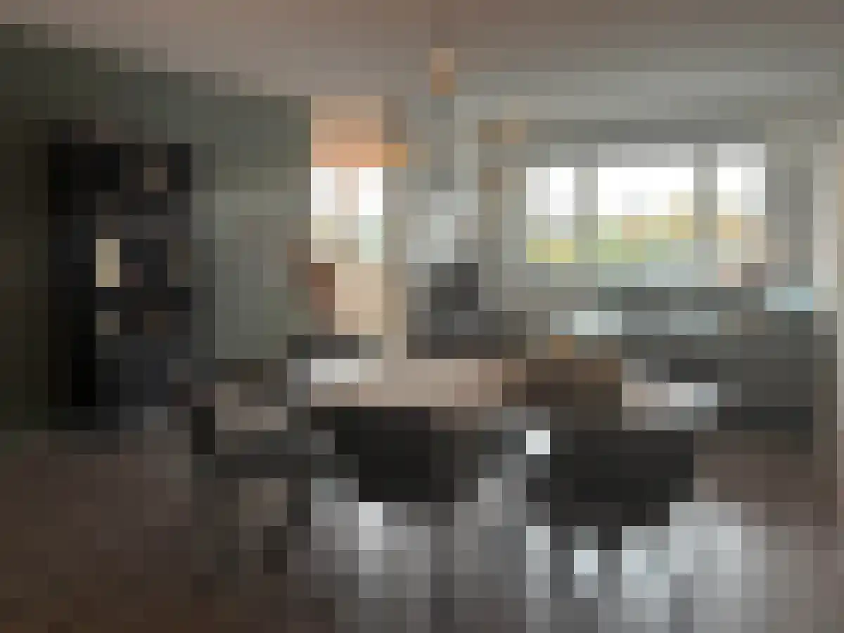 Rijngraafstraat 83 Breda thumbnail 4