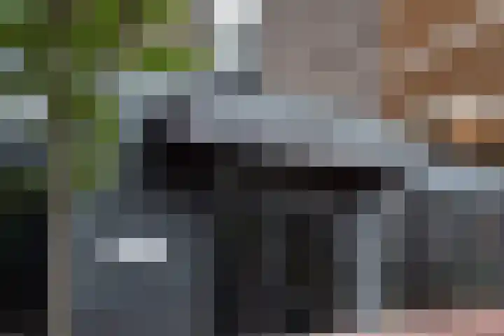 Rijnhavenkade 126 Alphen aan den Rijn thumbnail 6