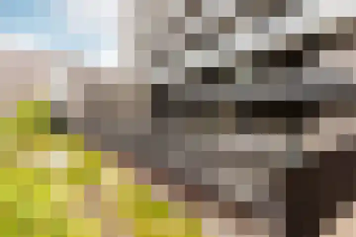 Rijnhavenkade 164 Rotterdam thumbnail 39