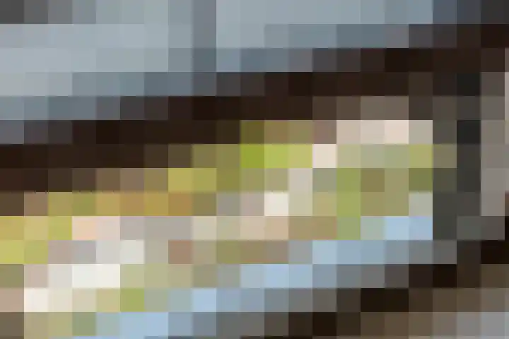 Rijnhavenkade 210 Rotterdam thumbnail 19
