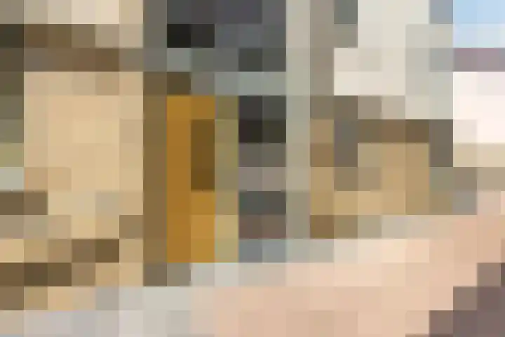 Rijnhof 2 Bodegraven thumbnail 10