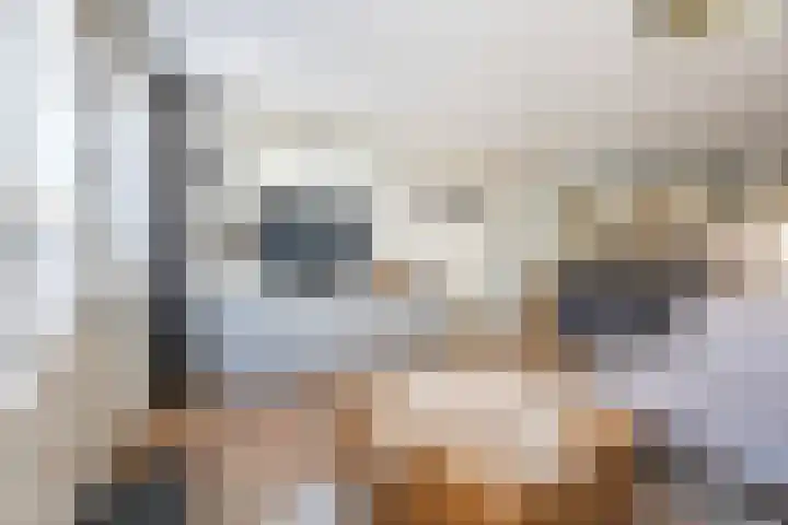 Rijnhof 2 Bodegraven thumbnail 14