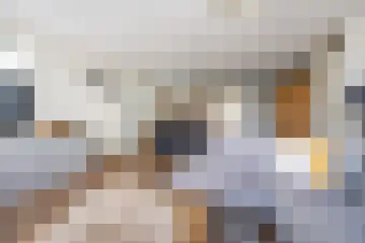 Rijnhof 2 Bodegraven thumbnail 15