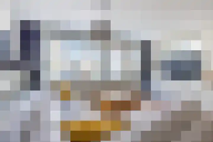 Rijnhof 2 Bodegraven thumbnail 17