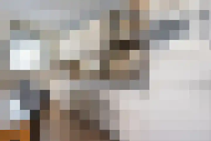 Rijnhof 2 Bodegraven thumbnail 20