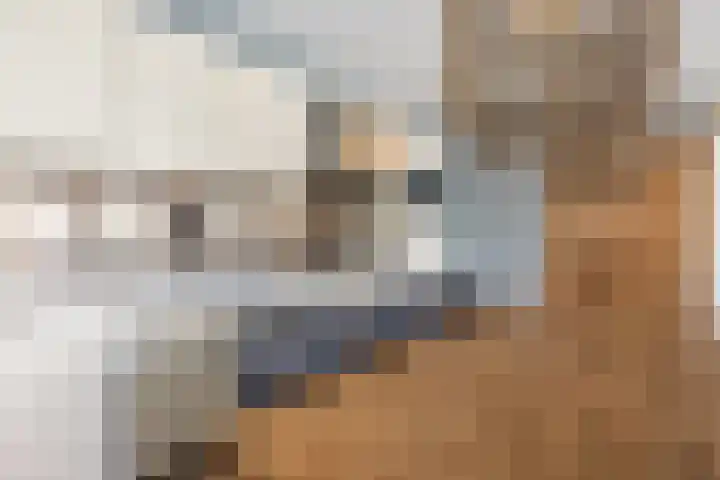Rijnhof 2 Bodegraven thumbnail 21