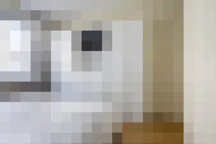 Rijnhof 2 Bodegraven thumbnail 24