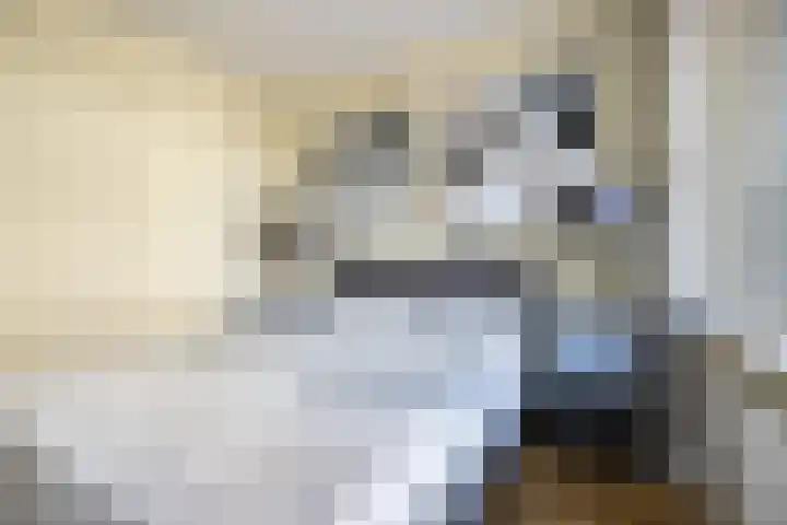 Rijnhof 2 Bodegraven thumbnail 25