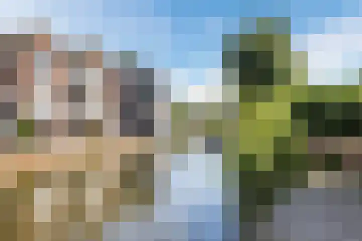 Rijnhof 2 Bodegraven thumbnail 8