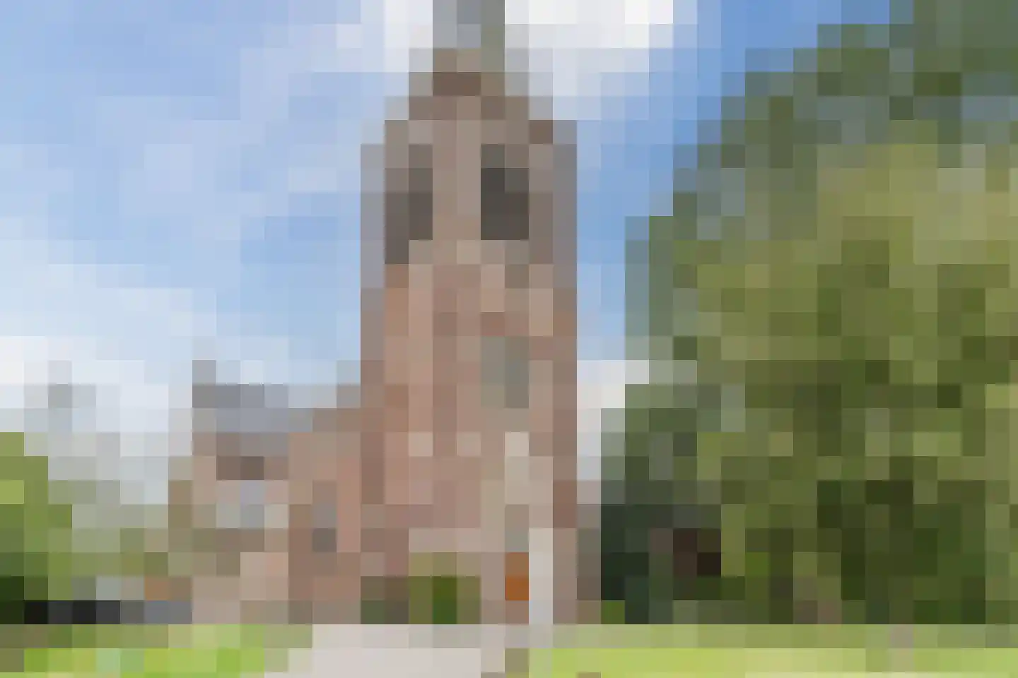 Rijnhof 53 Bodegraven thumbnail 41
