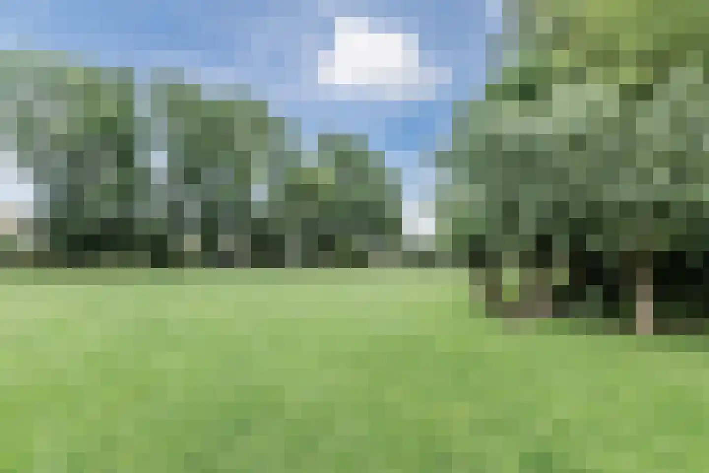 Rijnhof 53 Bodegraven thumbnail 44