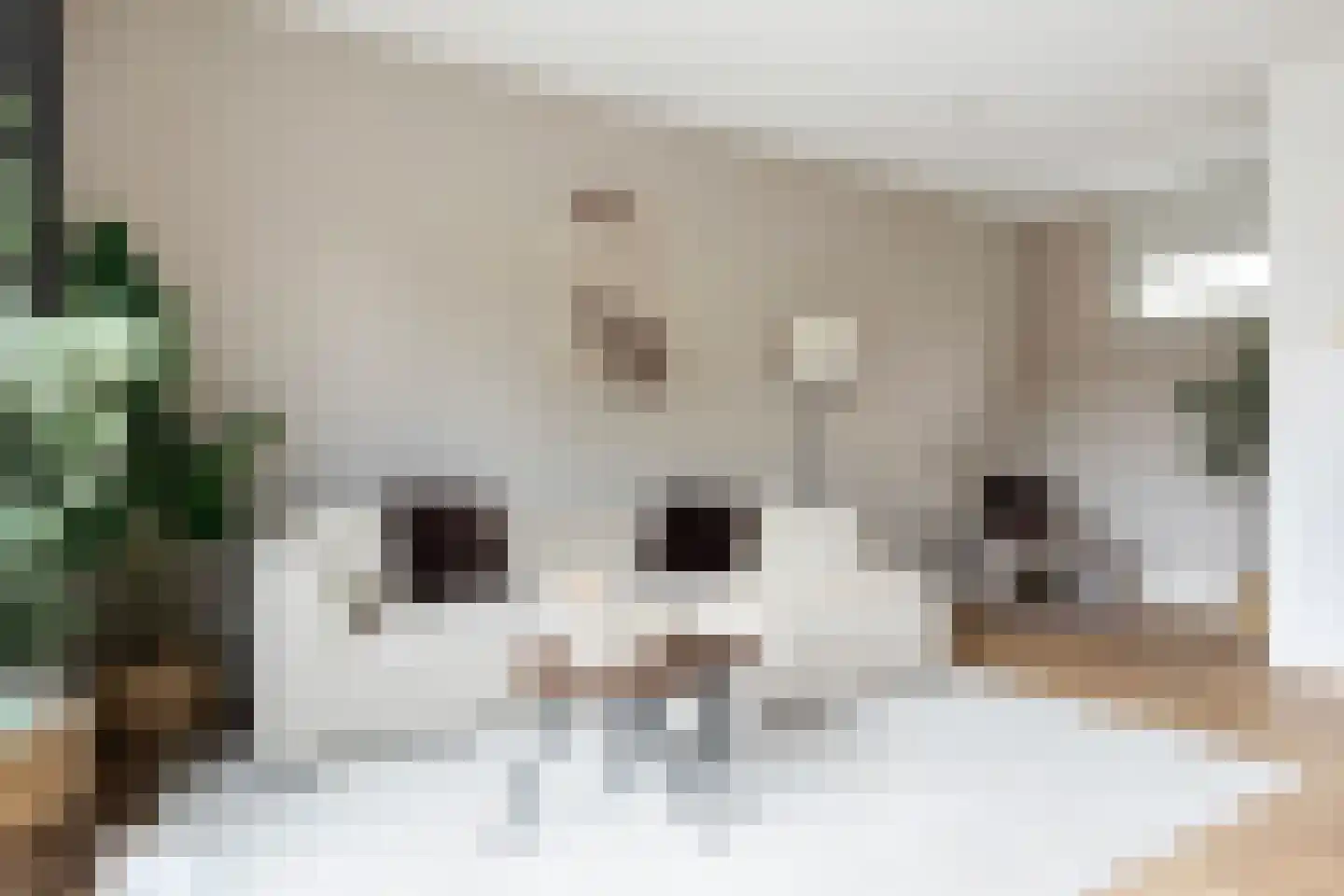 Rijnhuizenlaan 19 Utrecht thumbnail 21